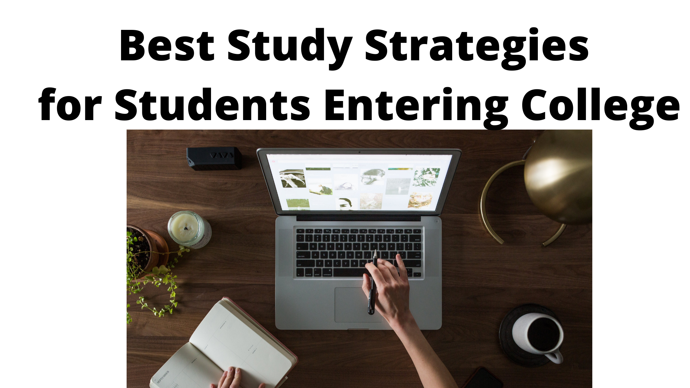 best-study-strategies-for-students-entering-college